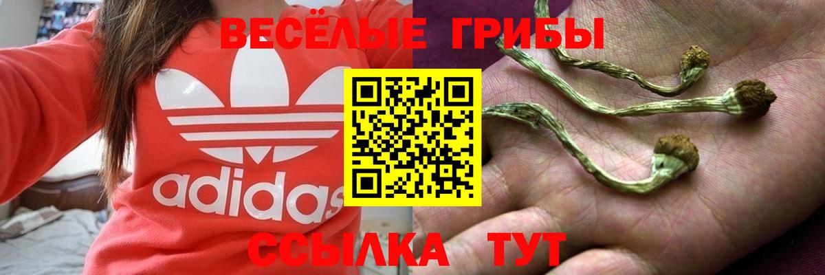 Псилоцибиновые грибы MAGIC MUSHROOMS  Вход с VPN  Солнечногорск  где найти   Галлюциногенные грибы прущие грибы 